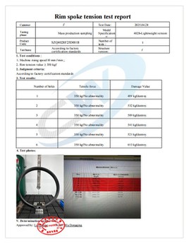 Rims spoke test Rims spoke test